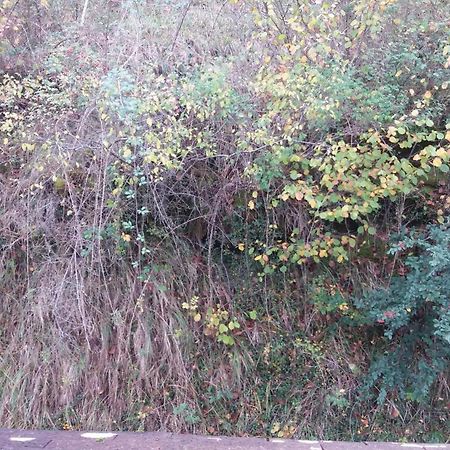 La Rouquette Le Moulin Des Cavaliers Bed & Breakfast エクステリア 写真