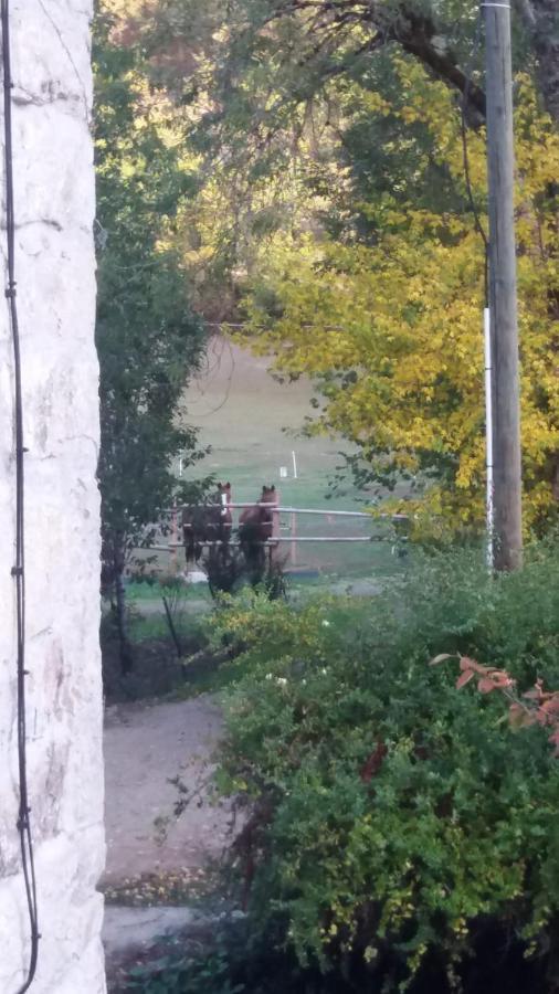 La Rouquette Le Moulin Des Cavaliers Bed & Breakfast エクステリア 写真