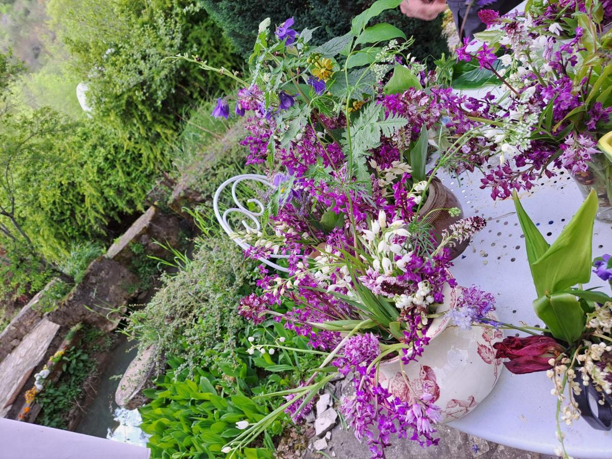 La Rouquette Le Moulin Des Cavaliers Bed & Breakfast エクステリア 写真