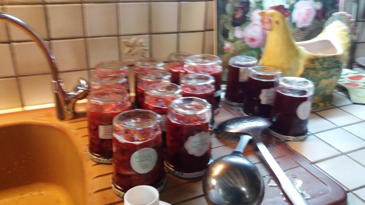 La Rouquette Le Moulin Des Cavaliers Bed & Breakfast エクステリア 写真